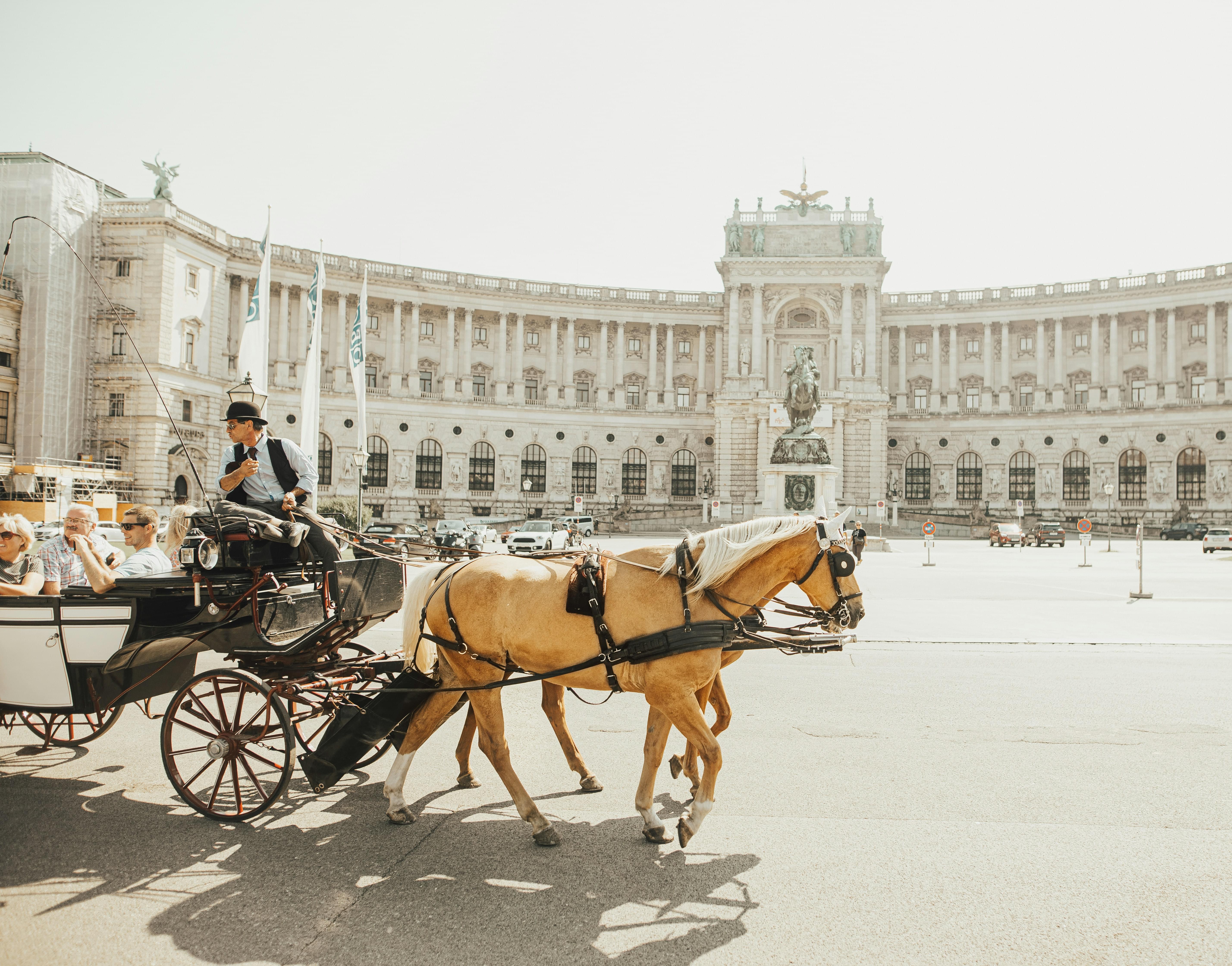 Vienna NA beer guide